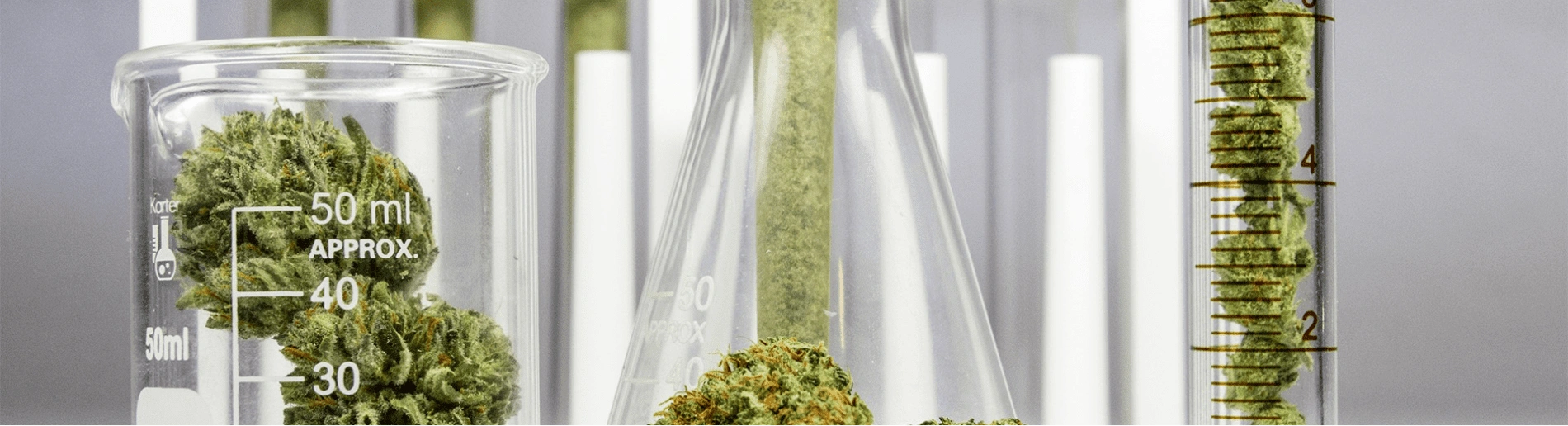 Resources Scissortail Laboratory